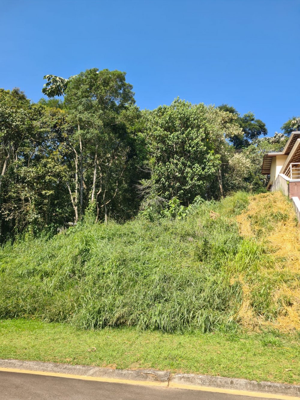 Terreno - Venda - Tamanduá - Santa Isabel - SP
